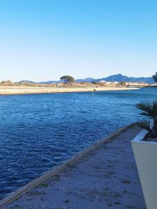 una grande pozza d'acqua con una spiaggia sullo sfondo di Studio cabine au pied de la plage de St Cyprien avec piscine a Saint-Cyprien