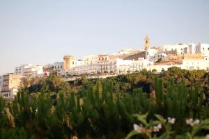 a view of a city with white buildings at Casa Patio de Monjas in Vejer de la Frontera