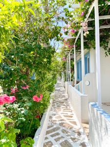 A garden outside Seaside Studios Arkasa Karpathos