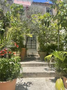 un conjunto de escaleras en un jardín con plantas en Cut' Home, en Monreale