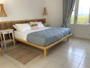 a bedroom with a bed and a window at Seaside Studios in Arkasa