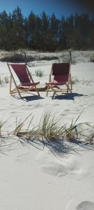 Plaża w apartamencie lub w pobliżu