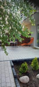 Ogród w obiekcie Apartament z prywatnym parkingiem