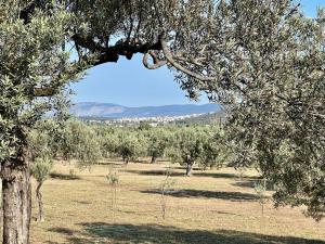 a view of a field with trees and mountains at Nepis Cottage, GcollectionGr in Ermioni