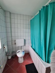 a bathroom with a toilet and a green shower curtain at Cozy Nest in Salzburg