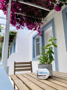 A garden outside Seaside Studios Arkasa Karpathos