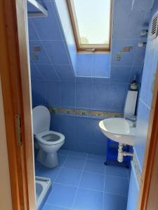 a blue bathroom with a toilet and a sink at Dar Lasu in Narty