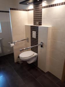 ein Badezimmer mit einem WC mit zwei Haltegriffen in der Unterkunft Familienurlaub in Ostfriesland für max 7 Pers in 2 Wohnungen, auch Einzeln Wohnungen in Utarp