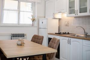 Kuchyň nebo kuchyňský kout v ubytování Apartmani Marica Beg