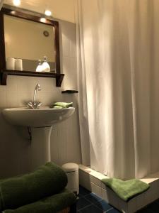 baño con lavabo y cortina de ducha en Les Hortensias en Espoey