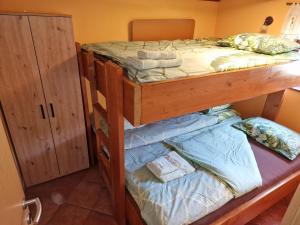 1 dormitorio con 2 literas y armario en Apartments Relax Jezerca, en Cerklje na Gorenjskem