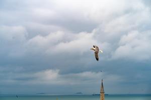 Gallery image of Miss Royal Hotel & SPA in Istanbul