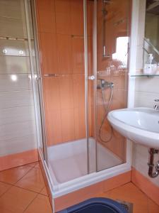 a bathroom with a shower and a sink at Apartments Relax Jezerca in Cerklje na Gorenjskem