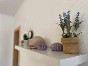 Fotografia z galérie ubytovania Studio Apartment Klaric vo Vise