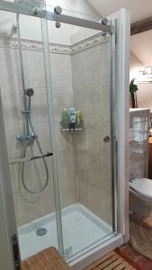 a shower with a glass door in a bathroom at Calme et confort à la campagne en Bourgogne vinicole, 