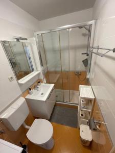 ein Bad mit einem WC, einem Waschbecken und einer Dusche in der Unterkunft Studio Apartment Klaric in Vis