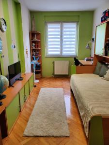 - une chambre avec des murs verts et un lit avec un tapis dans l'établissement EXIT apartment Novi Sad 68m2, à Novi Sad
