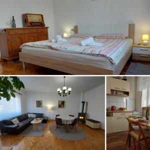 Apartman Tinče في ديلنايس: غرفة نوم مع سرير وغرفة معيشة