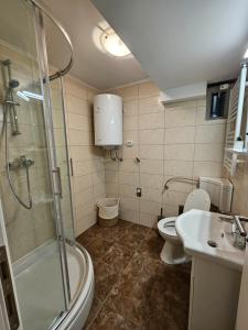 e bagno con doccia, servizi igienici e lavandino. di Comfort Rooms Remiza a Zagabria
