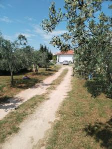 uma estrada de terra com árvores e uma casa ao fundo em Apartman Grbić em Vodnjan