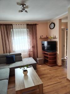 uma sala de estar com um sofá e uma televisão em Apartman Grbić em Vodnjan