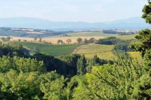 a view of the rolling hills and trees at Rue Basse - village house overlooking the Pyrenees in Montréal