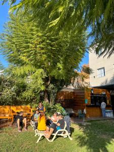 a group of people sitting in chairs under a tree at Gorilla Hostel in Mendoza