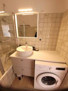 ein Badezimmer mit einer Waschmaschine und einem Waschbecken in der Unterkunft Bien-être & Panorama - Les Gîtes de la Côte d'Amour in Le Croisic