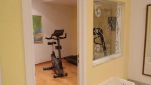 Fitness centrum a/nebo fitness zařízení v ubytování Hotel Maximilian