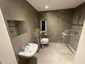 een badkamer met een wastafel, een toilet en een douche bij Apartment mit Jacuzzi Enschede 10km in Gronau