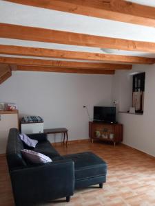 TV a/nebo společenská místnost v ubytování Holiday Home Loznati