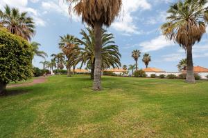 park z palmami i trawnikiem w obiekcie La Villa La Palma- 2 dormitorios A w mieście Los Barros