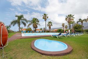 duży basen z leżakami i palmami w obiekcie La Villa La Palma- 2 dormitorios A w mieście Los Barros