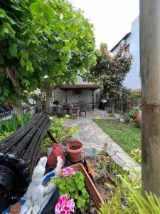 Gallery image of Milina's Cozy Riverside Apartments in Milína +16 photos