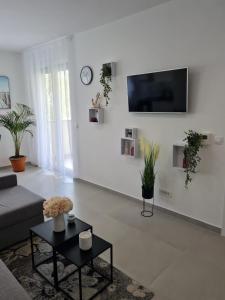 TV a/nebo společenská místnost v ubytování Apartment Alea