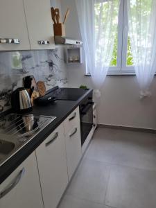 Kuchyň nebo kuchyňský kout v ubytování Apartment Alea