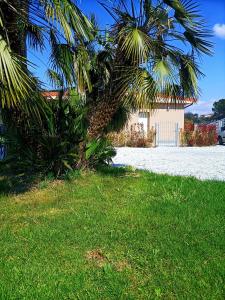 a palm tree in the grass next to a house at Il Tarassaco-exclusive pool in Santa Maria a Monte