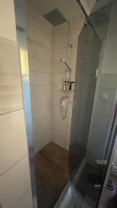 a shower with a glass door in a bathroom at Naplemente Vendégház in Orfű