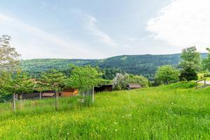Příroda nedaleko apartmánu