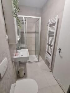 a bathroom with a shower and a toilet and a sink at Apartment Alea in Senj