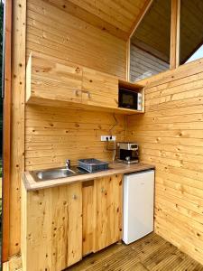 eine Küche mit einem Waschbecken in einer Holzhütte in der Unterkunft Cabana Bahna 2 in Orşova