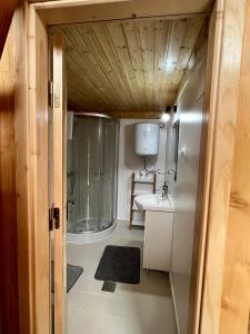 La salle de bains est pourvue d'une douche et d'un lavabo. dans l'établissement Cabana Bahna 2, à Orşova