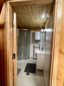 オルショバにあるCabana Bahna 2のバスルーム(シャワー、シンク付)