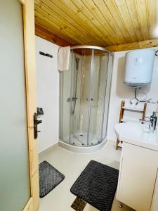 een badkamer met een douche en een wastafel bij Cabana Bahna 2 in Orşova