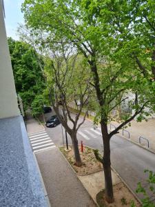 Okolí apartmánu