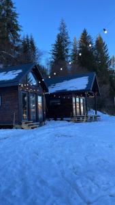 a log cabin in the snow at night at Cozyhouse in Slavske