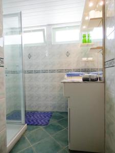Luglon的住宿－Les tuileries，带淋浴和盥洗盆的浴室
