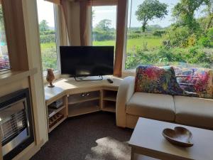 a living room with a television and a couch and a table at Swifts Nest in Carnguwch