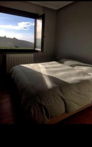 1 dormitorio con 1 cama grande y ventana en CASA FREDO, en Cóbreces