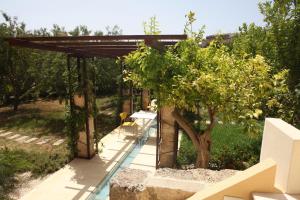 una pérgola con mesa y sillas bajo un árbol en Gli Archi garden rooms, en Favignana